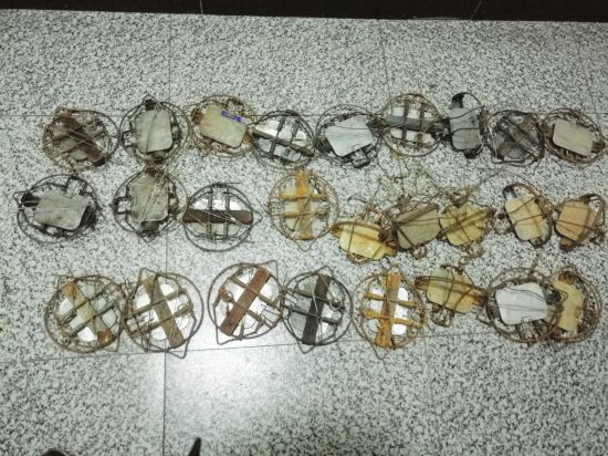 00后看快手学野外猎捕被抓