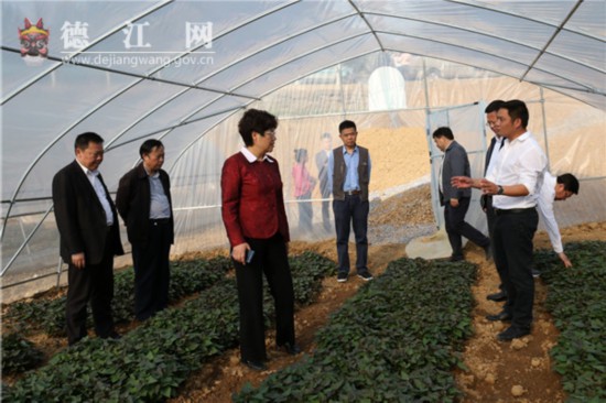 贵州省政协副主席罗宁赴德开展扶贫帮扶调研