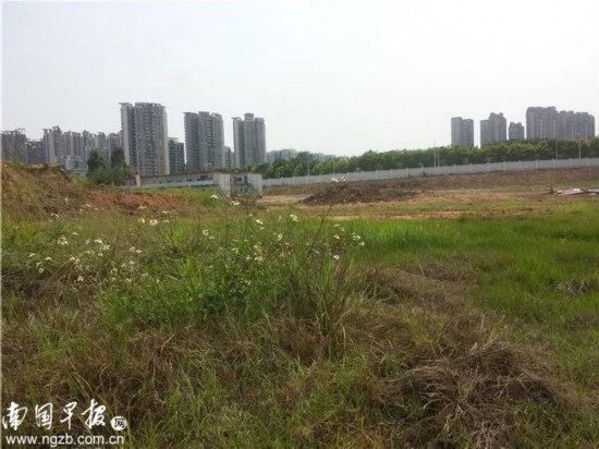 广西前首富欠债跑路?名下地块涉多次抵押,6