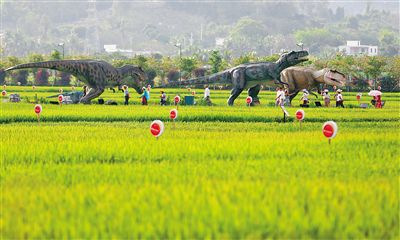 南繁科研育种基地:走向世界的中国种业硅谷