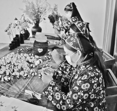 金鄉棉花“種”在網上“開”在景區