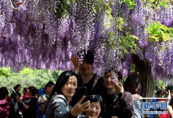 ���»�������2�����ٻ���