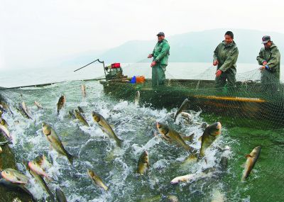 渔民在安吉赋石水库捕鱼.资料图片