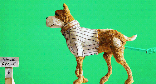 拍摄时每一帧画面都是单独拍摄的一张照片,一个简单的动作往往要几十