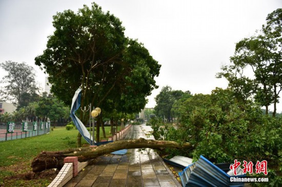 广西柳州遭遇狂风袭击 现场一片狼藉