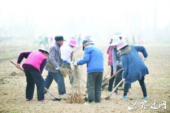 宿迁:栽植特色果木 带动村民致富