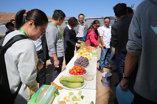 青海省地质矿产勘查开发局五项成果获省科技进