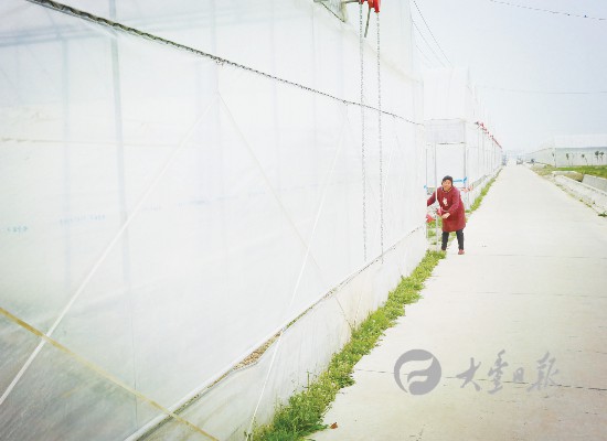 盐城大丰区西团镇加快现代农业建设