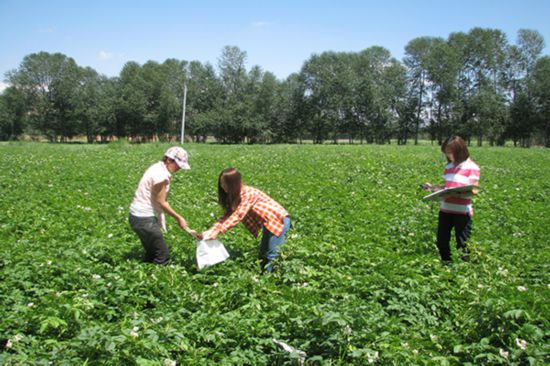 青海省地质矿产勘查开发局五项成果获省科技进