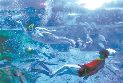 南京海底世界推出美人鱼表演 观众饱眼福