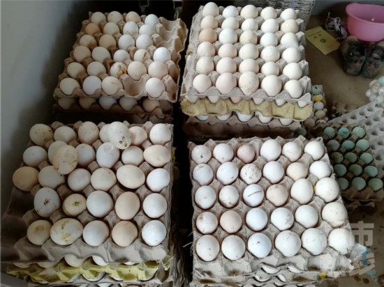 蓝田县一准妈妈拄拐卖鸡蛋 千斤鸡蛋求销路