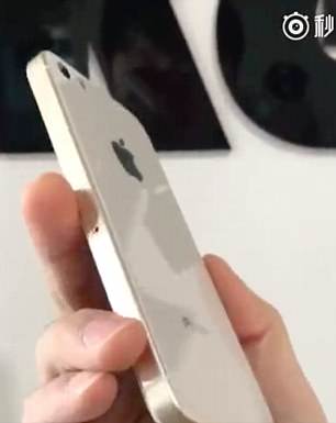 9649976067556918787.jpg