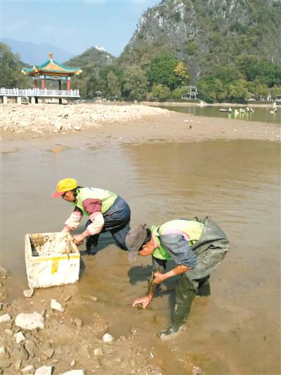 肇庆市民众筹3300万 星湖重现碧如镜