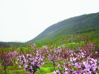 南京盘活废弃宕口 栖霞废弃矿山变身踏青景点