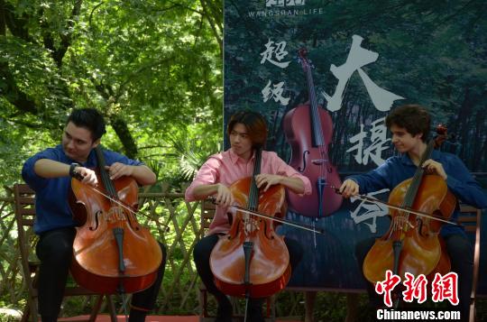 法国音乐家安徽古村上演超级大提琴音乐会