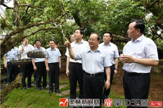 广西壮族自治区党委书记鹿心社深入玉林市调研