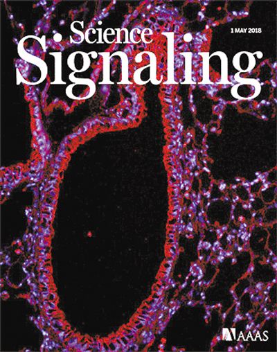 败血症症状 与一种磷酸酶有关