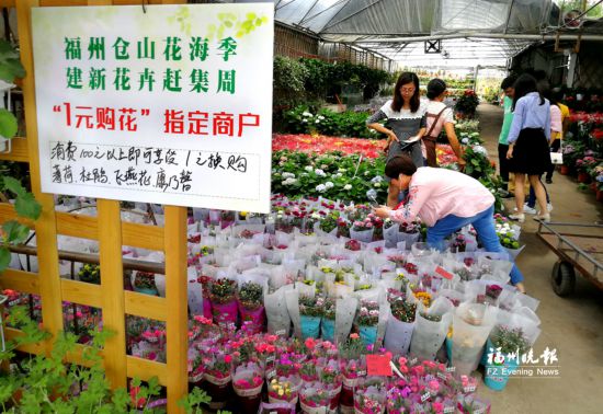 福州仓山花海季系列活动精彩纷呈 去建新花卉