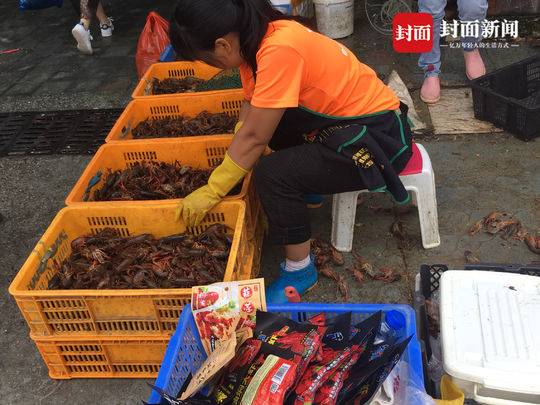 小龙虾火爆成都:批发市场日到货量40吨 餐馆日