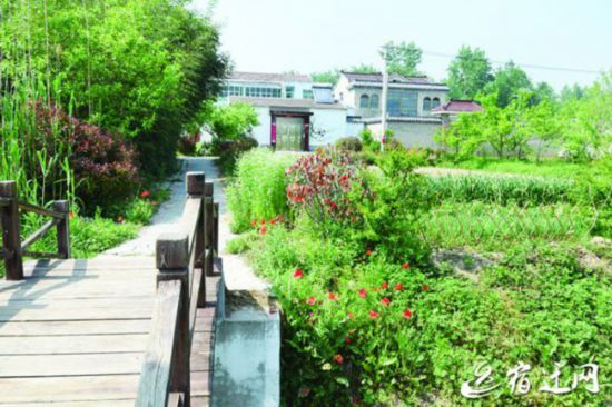 宿迁云渡:古桃源里美乡村