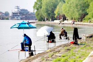 淮安洪泽湖垂钓者沿大堤排开 成一道美丽风景