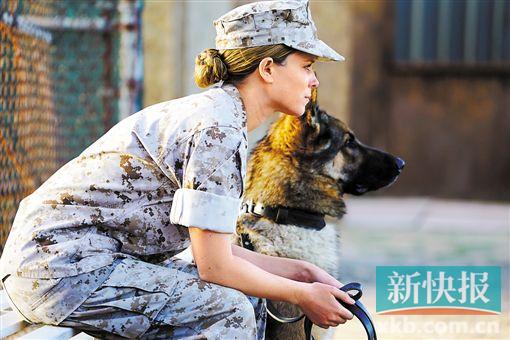 五月进口佳片陆续来袭 《战犬瑞克斯》适合爱犬人们