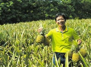 大致坡镇:电商搭快销路 贫困户吃下定心丸