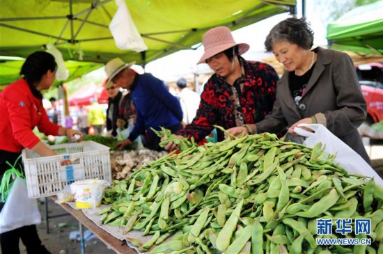 4月份全国居民消费价格水平同比上涨1.8%