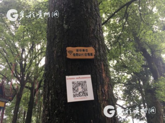 旅游大发展让百姓吃上旅游饭