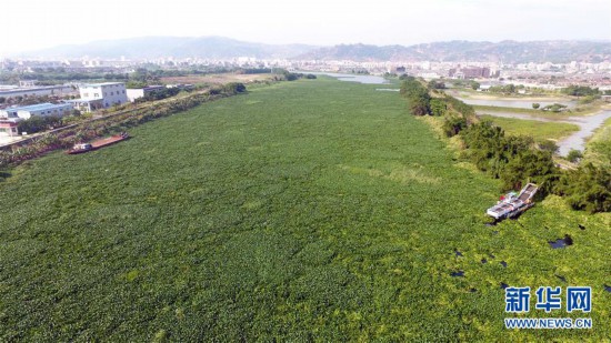 白练变黑龙,江河变草原--粤东母亲河为何