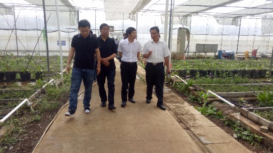 开阳冯三镇gdp_乡村印象 开阳冯三镇专辑 不敢冒泡(2)