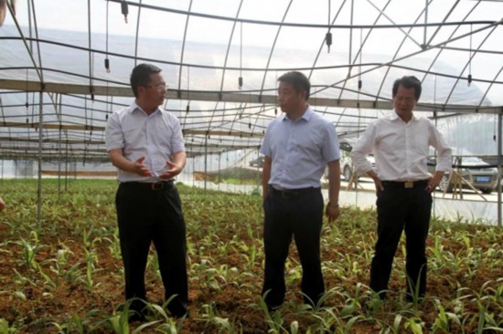 铜仁全市2018年中药材产业发展推进会在思召