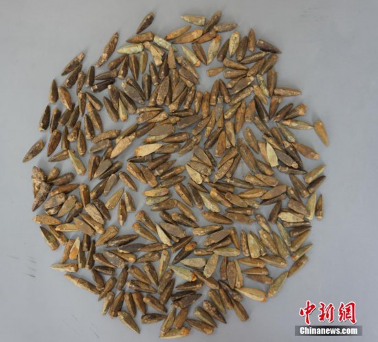 广西首次出土战国秦半两钱币