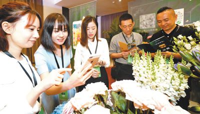 扫一扫 识花草--陕西频道--人民网