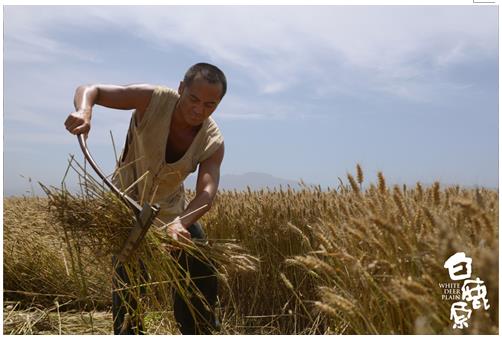 飞天奖电视剧《白鹿原》再上星 5.22广东河北