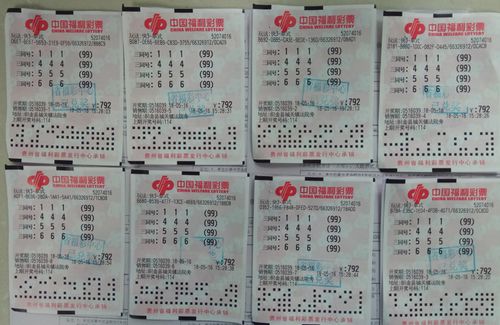 官网合法彩票平台_赛车_时时彩_体彩【官方推荐】湘黔两省开展