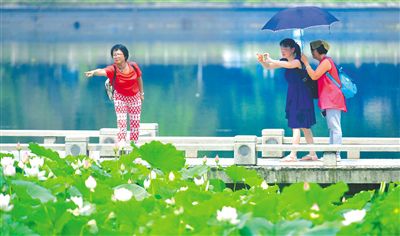 连续5天!广东5月高温天数破纪录--广东频道--人