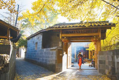 民宿如何留住“诗和远方”（人民眼·旅游转型升级）