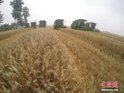 北方多地将现35℃以上高温 南方9省份有大到暴雨