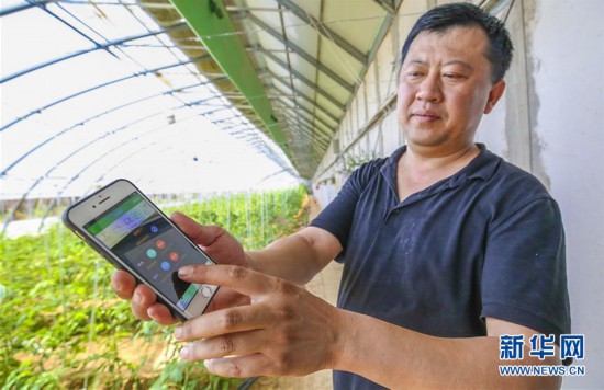 河北廊坊:智慧农业助乡村