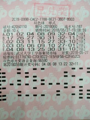 9371260158607187370.jpg