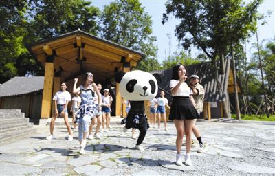 当年轻人和网红村相遇 原来,成都乡村还可以这