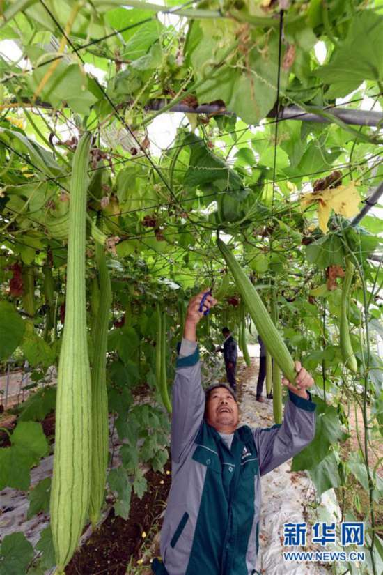 江西上饶:户户参与 人人分红