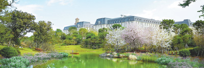 从打造景观到打造品牌