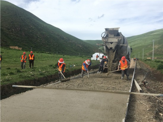 道路通了牛羊卖出好价钱 四川藏区牧民乐开花