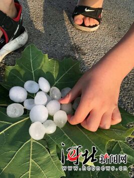 最大直径约22毫米!衡水强对流天气引发冰雹(组