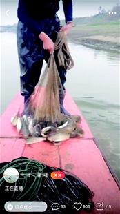 女子视频直播丈夫公公非法捕鱼 打赏和卖鱼双