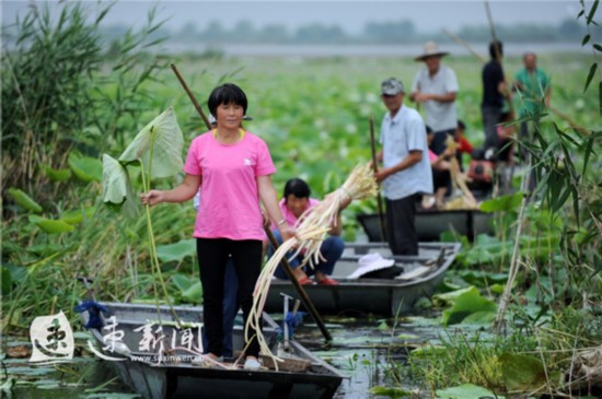 宿迁泗洪:水上生态牧场富农家