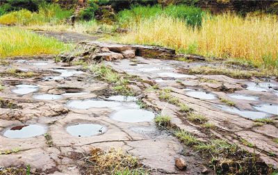 山東上演“侏羅紀公園”？ “群居迅猛龍”足跡首次出現