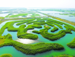 淮安白马湖湿地公园规划总面积3243.37公顷